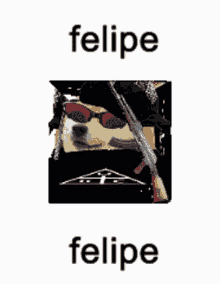 Felipe Phillip GIF - Felipe Felip Phillip GIFs