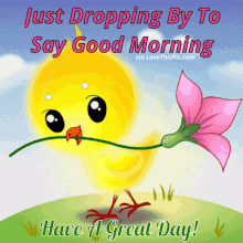Good Morning Just Dropping By GIF - Good Morning Just Dropping By Bird GIFs