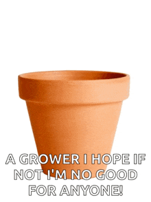 a purple dildo is growing out of a clay pot that says a grower i hope if not i 'm no good