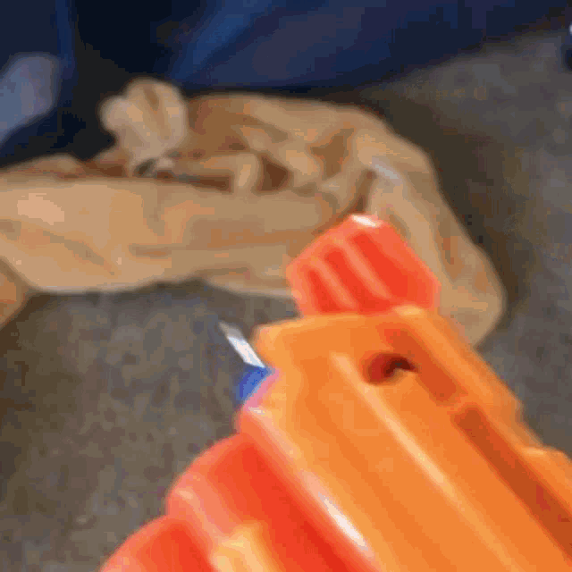 Its Nerf Or Nothin GIF - Its Nerf Or - Discover & Share