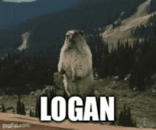 a groundhog standing on its hind legs with the name logan written on it