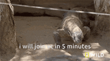 I Will Join Vc In 5 Minutes Lizard Vc GIF - I Will Join Vc In 5 Minutes Lizard Vc Komodo Dragon GIFs
