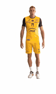 pge skra belchatow be%C5%82chat%C3%B3w volleyball