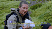 Thats A Million Dollars There Bear Grylls GIF - Thats A Million Dollars There Bear Grylls Running Wild GIFs