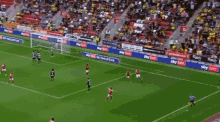 Rotherham United The Millers GIF