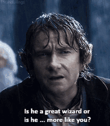 more like you wizard martin freeman lord of the rings