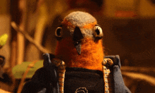 a stuffed bird wearing a blue jacket with the letter o on it