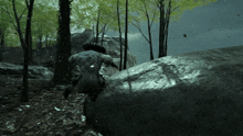 a person with a tattoo on their back is standing next to a large rock in the woods