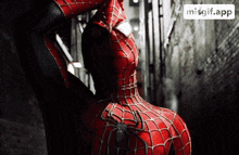a close up of a spider man 's back with a misgif.app icon in the corner