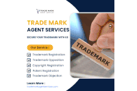 Trade Mark Registration Fees Solan Sticker