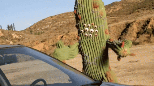 cactus-attack.gif