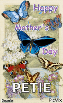 Happy Mothers Day Butterfly GIF - Happy Mothers Day Butterfly Flowers GIFs