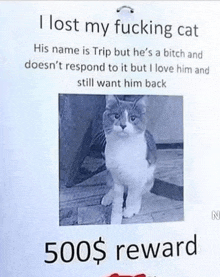 a poster that says i lost my fucking cat and 500 $ reward