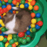 a cat is laying in a green ball pit filled with colorful plastic balls