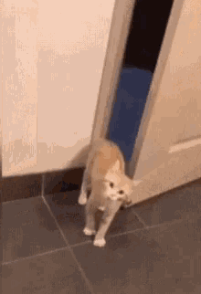 Funny Animals Im Outta Here GIF - Funny Animals Im Outta Here Bye GIFs