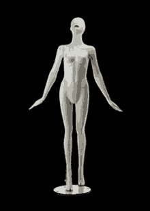 Mannequin Model GIF