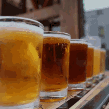 Bier Drink GIF - Bier Drink Drinking GIFs