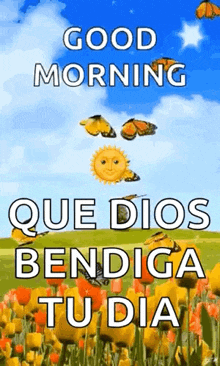 a picture of a field of flowers with the words `` good morning que dios bendiga tu dia '' written on it .