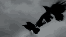 Halloween Crow GIF - Halloween Crow Bird GIFs