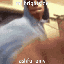 Mr Brightside Ashfur GIF - Mr Brightside Ashfur Warriors GIFs