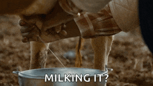 Milking Cow Udders GIF - Milking Cow Udders Cow GIFs