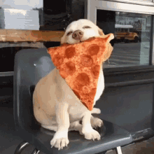 Dog Pizza GIF - Dog Pizza Happy GIFs