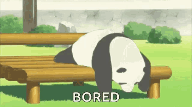 funny gifs  Bored Panda