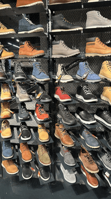 a variety of shoes are displayed on a rack