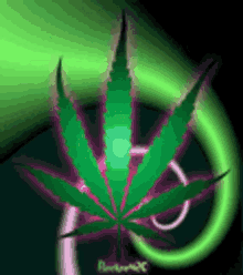 Have A Smokin Day Weed GIF