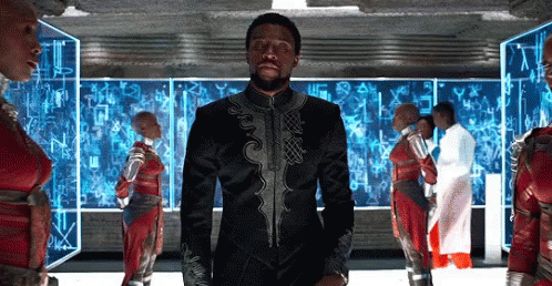 t-challa-black-panther.gif