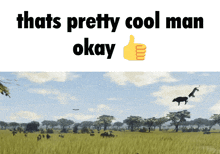 a meme that says that 's pretty cool man okay with a thumbs up