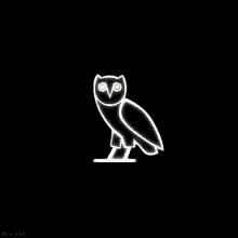 Charged Up Owl GIF - Charged Up Owl Drake GIFs