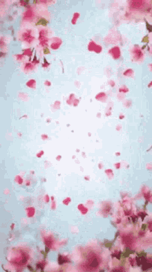 Flower Petals Falling GIF