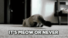Now GIF - Now GIFs