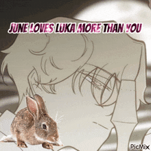 a picture of a rabbit with the words june loves luka more than you on it
