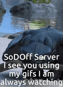 a picture of a dragon with the words sodoff server i see you using my gfs i am always watching