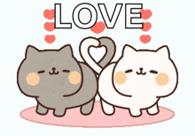 Luna Cat Love GIF - Luna Cat Love GIFs