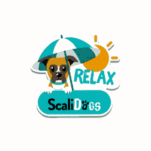 scalidogs dog cane cucciolo relax