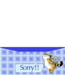 a picture of a cat with flowers and a butterfly says sorry