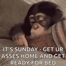 a monkey is laying on a bed with the words `` it 's sunday get ur asses home and get ready for bed ''