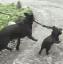 Funny Best GIF - Funny Best Friends GIFs