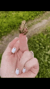 Middle Finger Frog GIF - Middle Finger Frog Jump GIFs