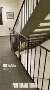 a video of a dog walking down a set of stairs has the name paulo fernando ferreira on the bottom