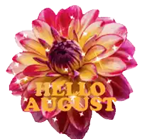 a pink and yellow flower with the words hello august on it
