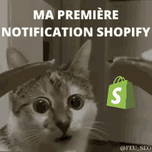 Shopify Notification GIF - Shopify Notification 1ière Vente GIFs