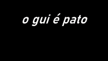 Gui Pato GIF - Gui Pato GIFs