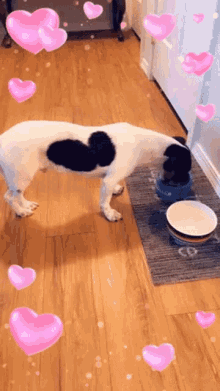 Puppy Snapchat GIF - Puppy Snapchat Dog GIFs