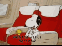 Snoopy Peanuts GIF - Snoopy Peanuts Wish This Was Us Right Now GIFs