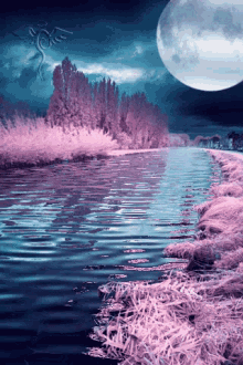 Nature Water GIF
