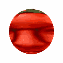 tom tomato